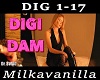 "Digi Dam"