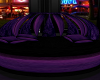 purple and blk lounge