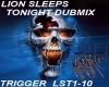 Lion Sleeps tnite Dubmix