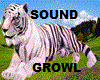 WHITE TIGER&SOUND