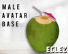 Coconut avatar base M
