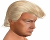 Donald J Trump Hair