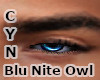 Blu Nite Owl