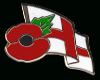 male england poppy badge
