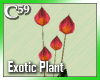 [C59] Exotic Red 2