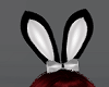 FG~ Bunny Set