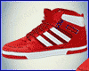 Sneakers & Kicks M