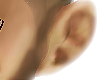 Ear v3