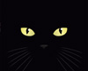 Animated Black Cat