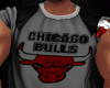 IRPI T-Shirt Chicago