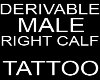 Tattoo Calf Male R