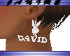 [JA] David Earrings