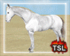 [T] White Horse Loving