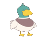 Funny Duck Dance