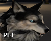 Pet Wolf  Waya triggers