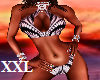 XXL~W&B SEXY BIKINI BM