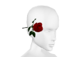 Rose Behind the Ear