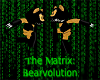[RQ]Matrix Bears