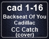 Backseat Of You Cadillac