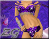 Showgirl Purple GA