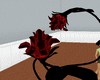 [MK] blood roses ANIM