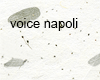 voice napoli