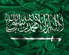 Backgroud saudi flag