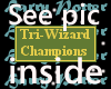 Triwizard Champions stam