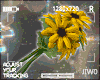 🐀 Sunflowers Bouquet