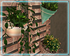 ○ Sunkissed Wall Pots