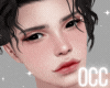 Occ. howl head