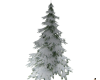 [JD] Winter's Tall Tree
