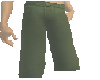 Long Brown Green Shorts