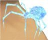 Grim Diamond Pet Spider
