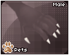 [Pets] Toxi | claws