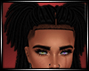 LS~Stem Joly locs