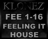 House - Feeling It