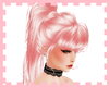 (OM)Cataleya Pink