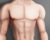 Muscles