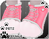 [Pets] Sneakers | Punch