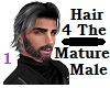 Mature Male Hair 1