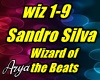 Sandro Silva Wizard