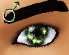 !Reflective eyes green M