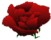Animated Rose Sticker