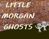 LITTLE MORGAN GHOSTS