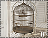 Old Cage With Bird