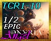 TCR1-10-Crimson flightP1
