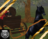 }T{ Horse Drawn Carriage