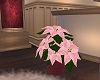A19~Poinsetta Pink