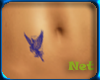 Pegaso